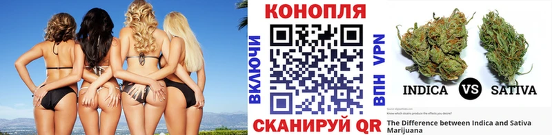 Шишки марихуана OG Kush цена Туймазы